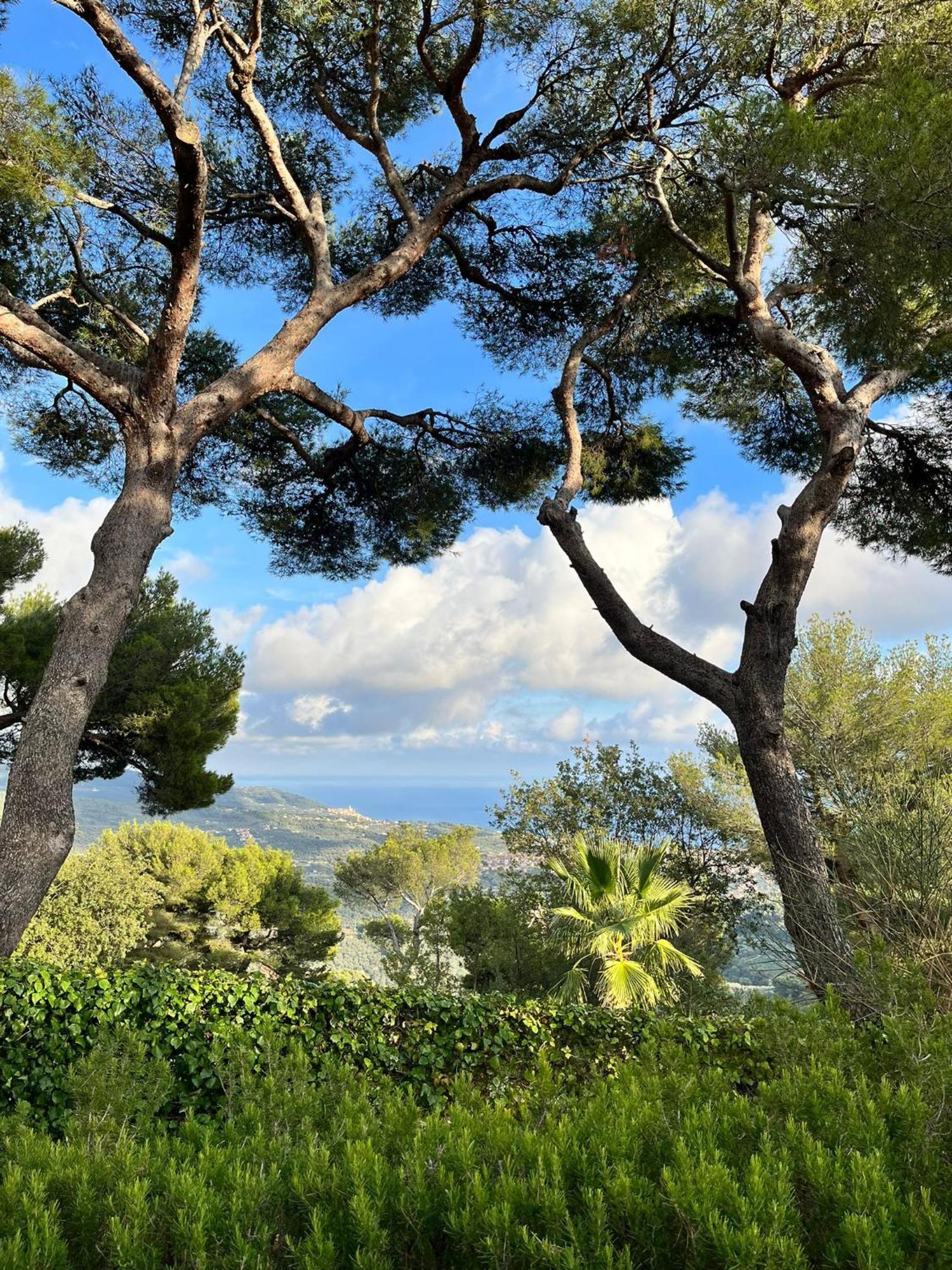 Casa Merea 16 Costa d'Oneglia Kültér fotó
